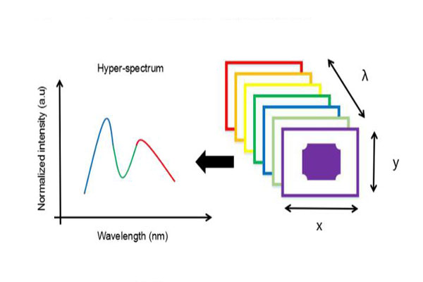 高光譜成像儀高光譜圖像數(shù)據(jù)和光譜數(shù)據(jù)處理方法