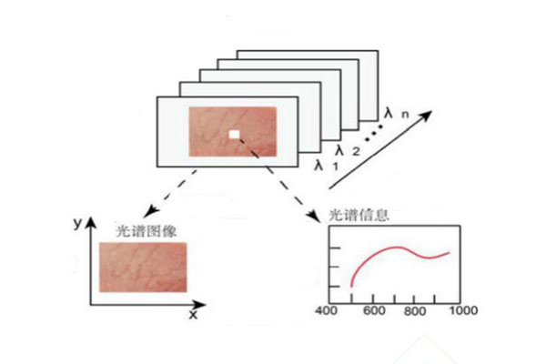 高光譜數據特征波長的提取及建模方法介紹